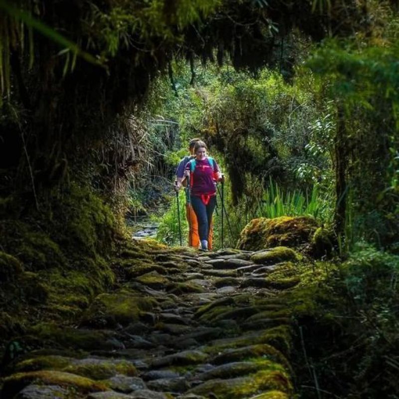 Sobre el Camino Inca desde Honduras