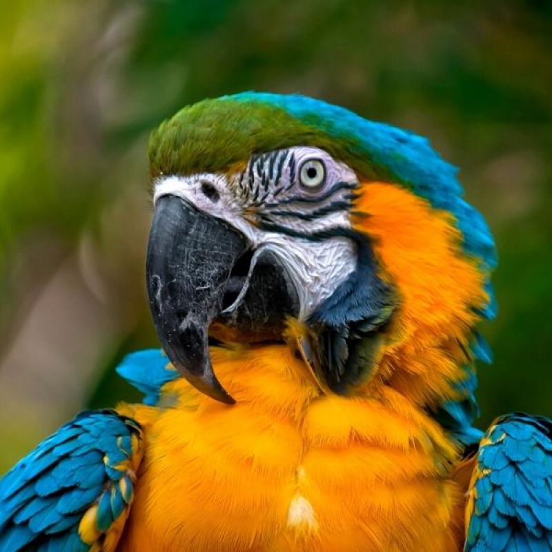 Naturaleza y ecoturismo desde Honduras