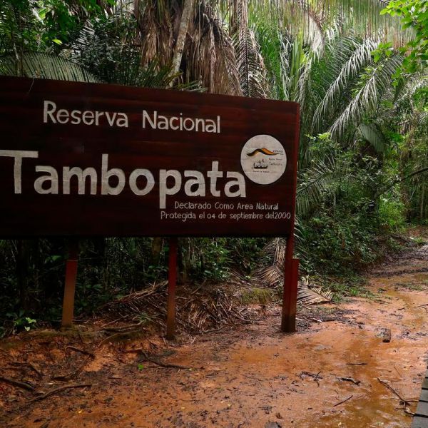Tours en Tambopata desde Honduras