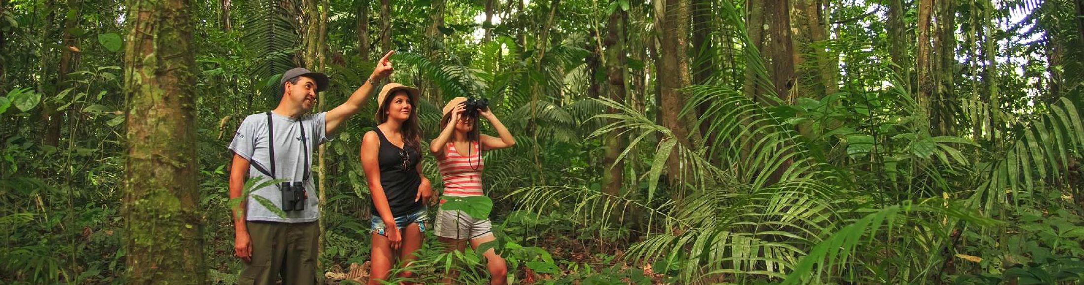 Reserva Tambopata, Puerto Maldonado desde Honduras