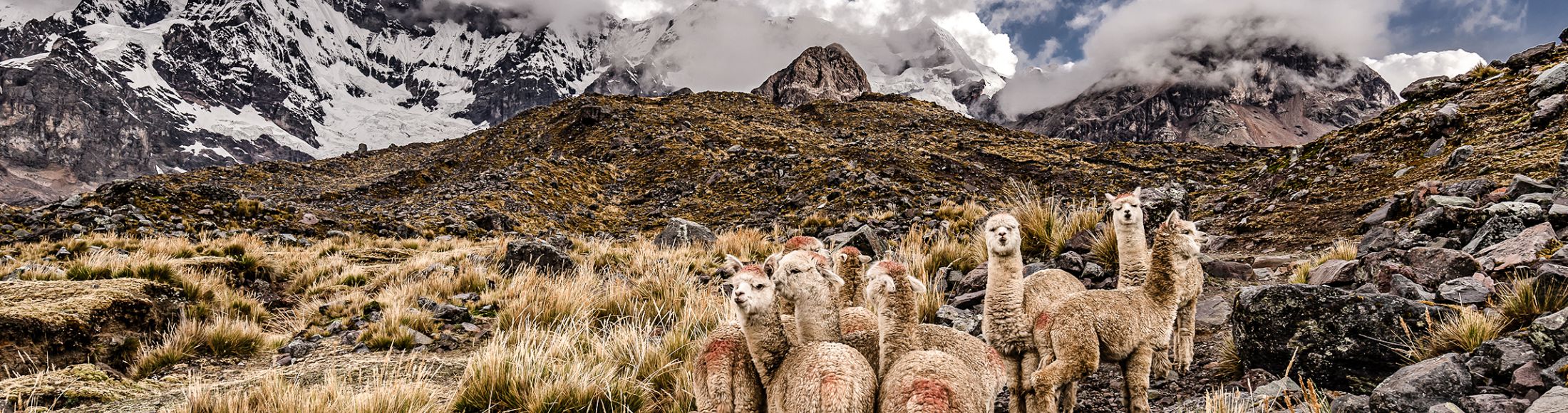 Machu Picchu 8D7N Viajero (Full Aventura Tendencia) desde Honduras