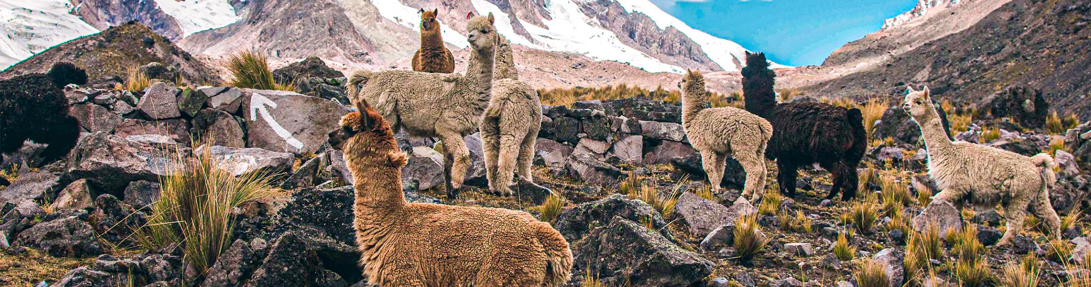 Machu Picchu 4D3N Viajero (Cultural Aventura Tendencia) desde Honduras