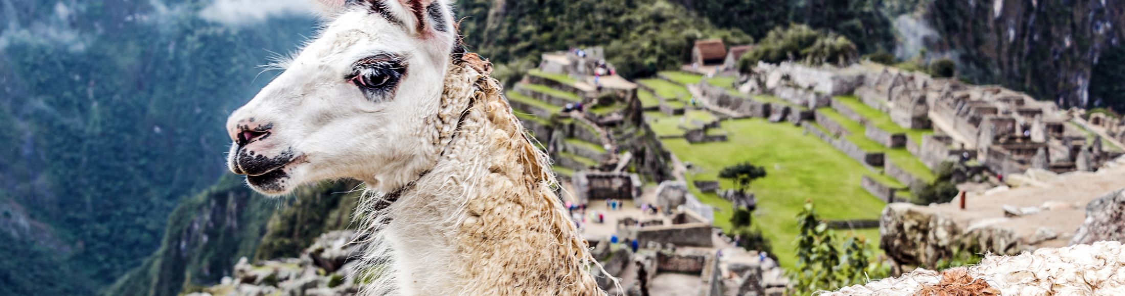 Machu Picchu 8D7N Viajero (Full Cultural) desde Honduras