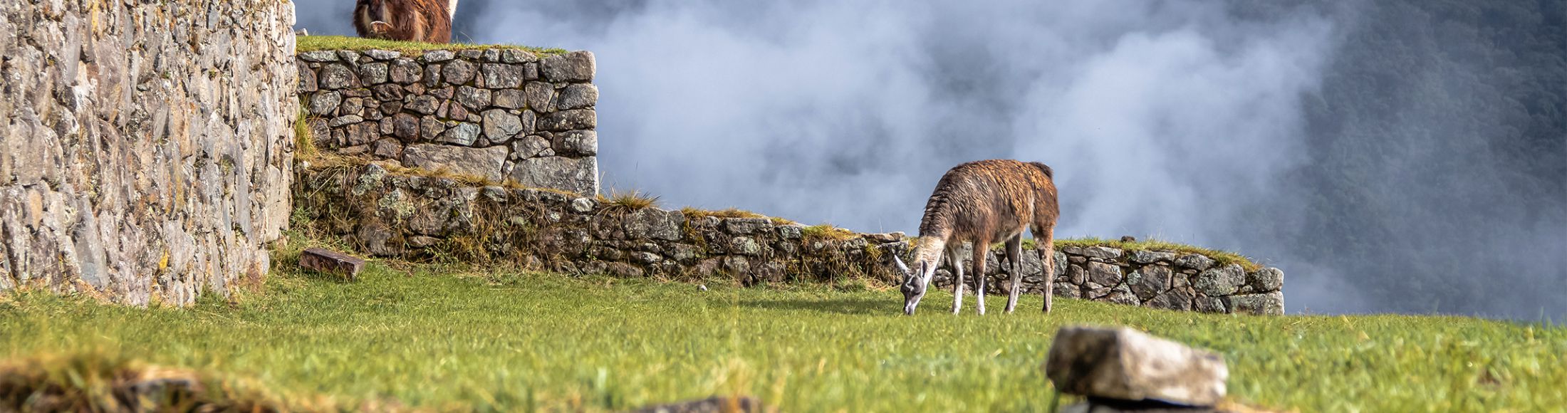 Machu Picchu 4D3N Viajero (Cultural Aventura) desde Honduras