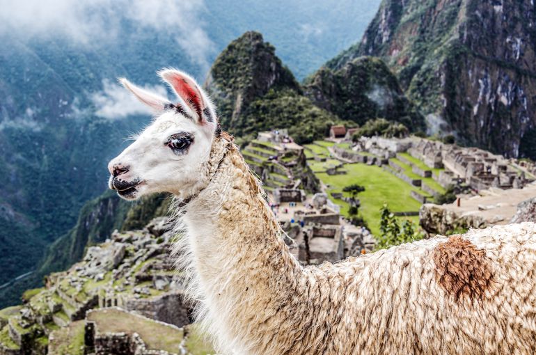 Perú desde Honduras